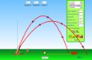 Screenshot of Projectile Motion Simulation